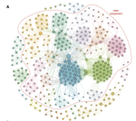 The dynamical structure of political corruption networks